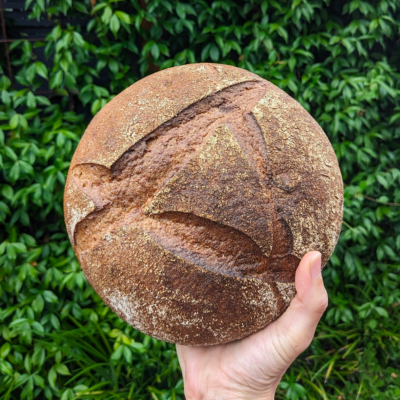 A round loaf of bread held up in the air with a green leafy background.