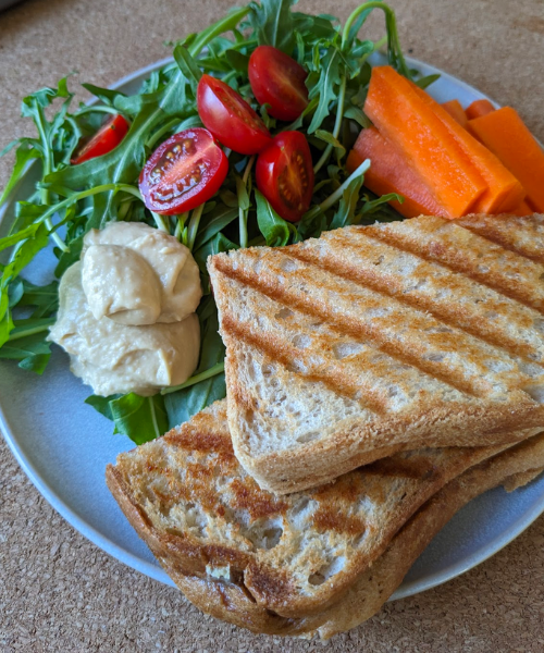 A plate with a toasted sandwich and salad. The sandwich has pronounced grill marks.